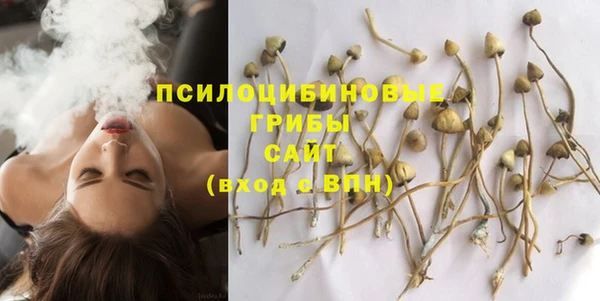 mdpv Баксан