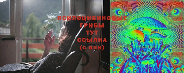 mdpv Баксан